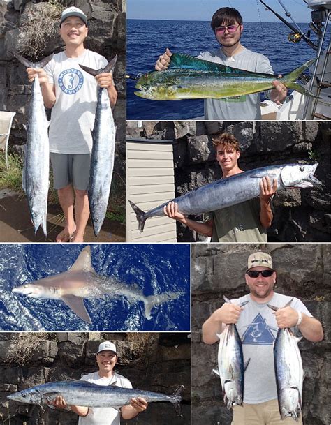 kona fishing reports|online fishing report hawaii.